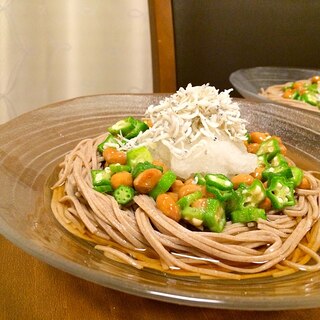 胃に優しい＊おくら納豆&シラスおろしのぶっかけ蕎麦